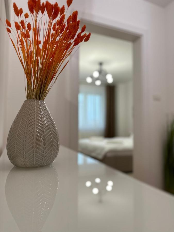 Esi Apartments #Central With Garage Temeşvar Dış mekan fotoğraf